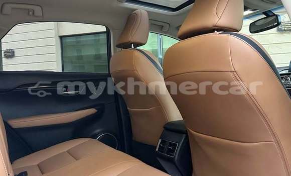 Buy Used Lexus NX White Car in Phnom Penh in Phnom Penh Buy Used Lexus NX White Car in Phnom Penh in Phnom Penh