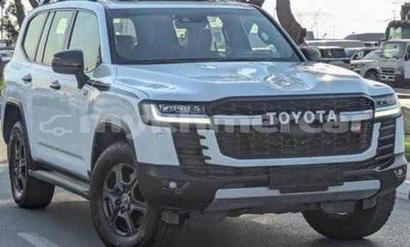 Buy Used Toyota Land Cruiser White Car in Phnom Penh in Phnom Penh
