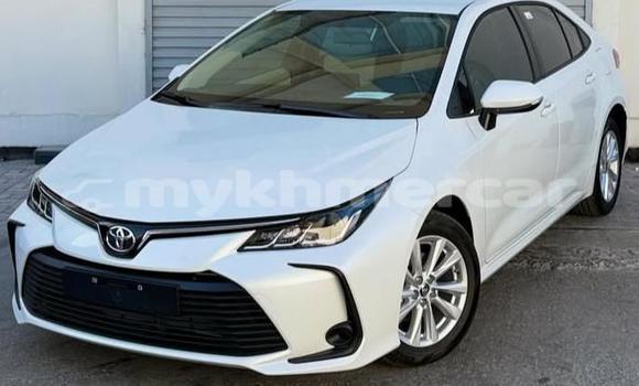 Buy Used Toyota Corolla White Car in Phnom Penh in Phnom Penh