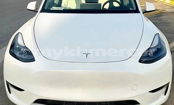 Buy Used Tesla Model X White Car in Phnom Penh in Phnom Penh