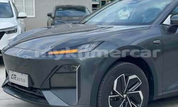 Buy Used Hyundai Dynasty Other Car in Bavet in Svay Rieng Province