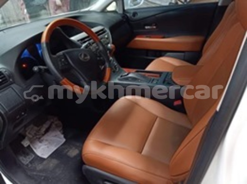 Big with watermark 60023016 2210948909215112 3313566555899428864 n