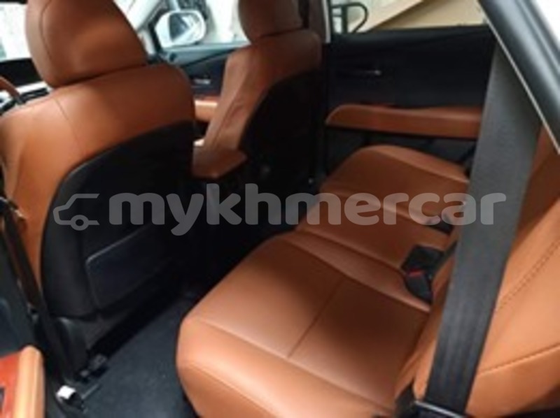 Big with watermark 59647230 2210948925881777 5859691849790259200 n