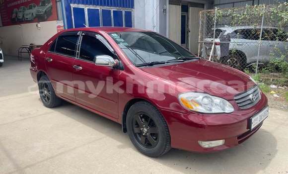 Buy Used Toyota Corolla White Car in Phnom Penh in Phnom Penh Buy Used Toyota Corolla White Car in Phnom Penh in Phnom Penh