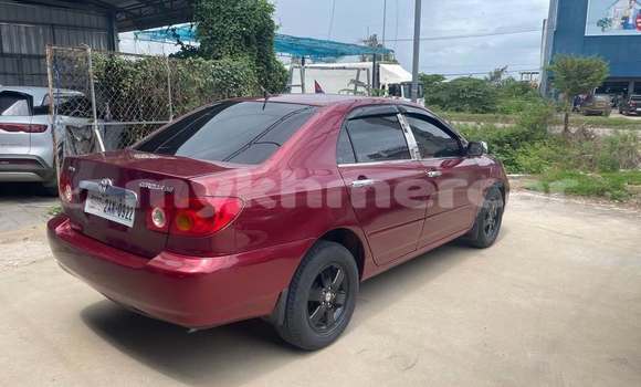 Buy Used Toyota Corolla White Car in Phnom Penh in Phnom Penh Buy Used Toyota Corolla White Car in Phnom Penh in Phnom Penh
