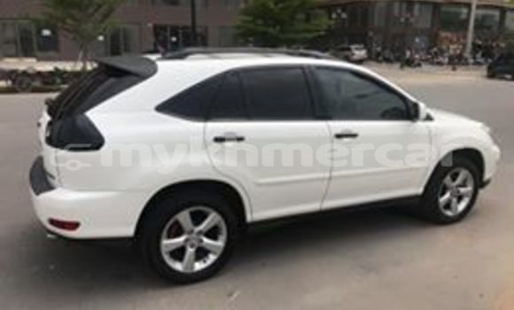 Buy Used Lexus RX 330 White Car in Phnom Penh in Phnom Penh Buy Used Lexus RX 330 White Car in Phnom Penh in Phnom Penh