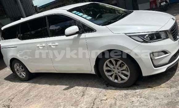 Buy Used Kia Carnival White Car in Phnom Penh in Phnom Penh Buy Used Kia Carnival White Car in Phnom Penh in Phnom Penh