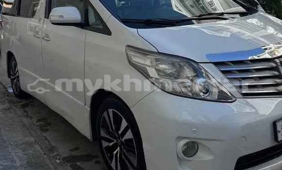 Buy Used Toyota Alphard White Car in Bavet in Svay Rieng Province