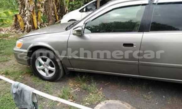 Escort in Pursat