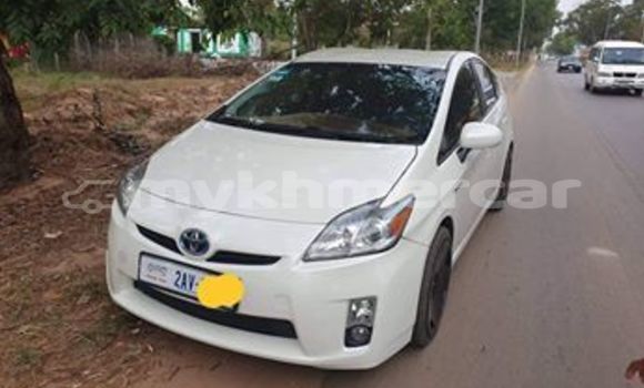 Buy Used Toyota Prius White Car in Phnom Penh in Phnom Penh Buy Used Toyota Prius White Car in Phnom Penh in Phnom Penh