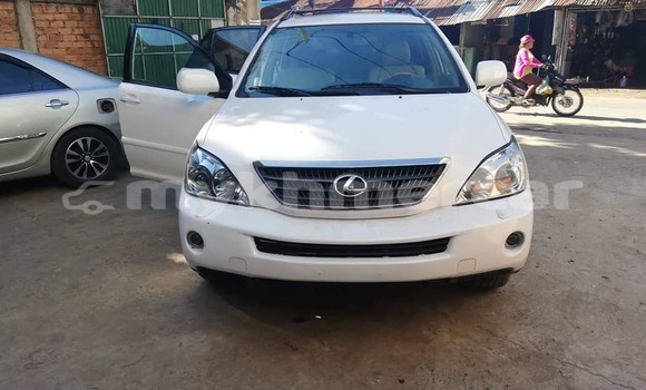 Buy Used Lexus RX White Car in Phnom Penh in Phnom Penh