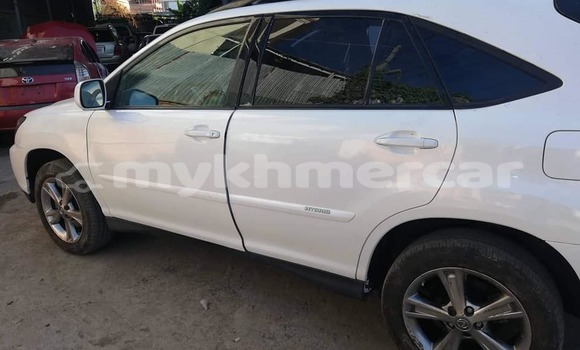 Buy Used Lexus RX White Car in Phnom Penh in Phnom Penh Buy Used Lexus RX White Car in Phnom Penh in Phnom Penh